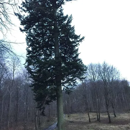 Hotel Liselund Ny Slot Borre