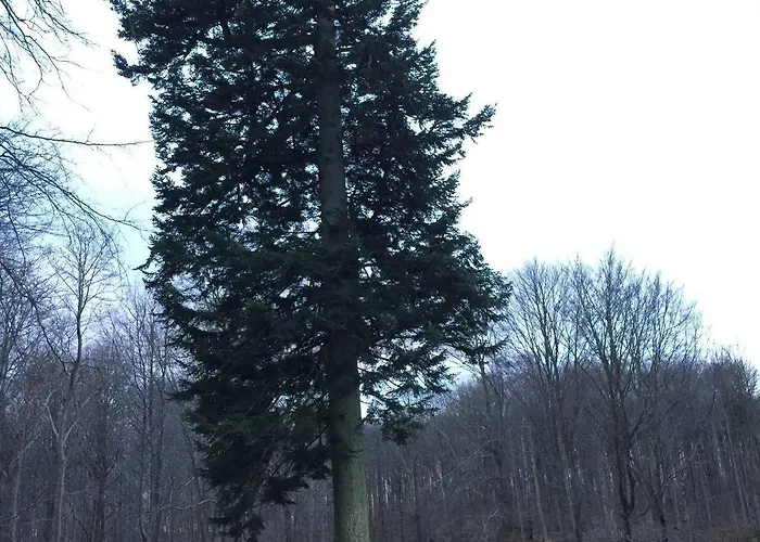 מלון Liselund Ny Slot בורה