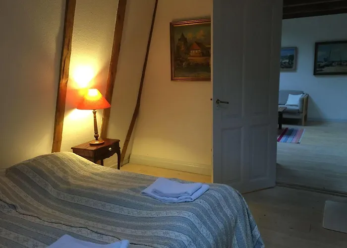 Liselund Ny Slot 2* בורה